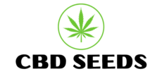 cbd cannabis canada