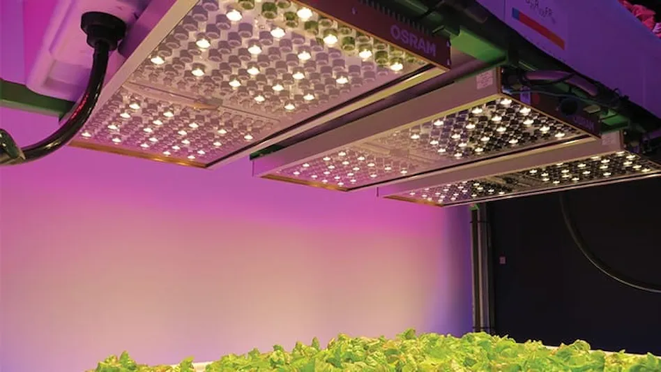 led lightening for growing cannabis