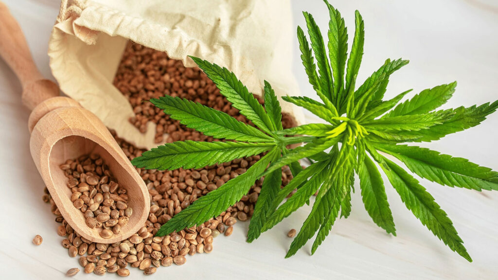 Understanding CBD and Its Role