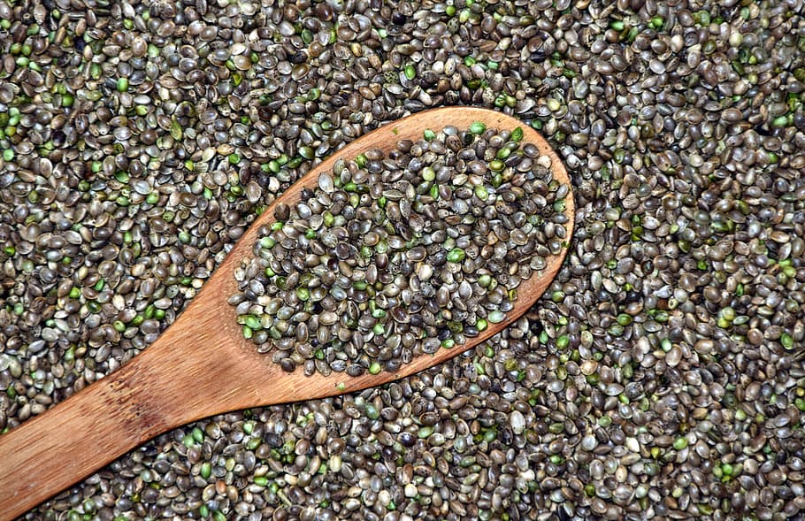 Cannabis Seed Genetics