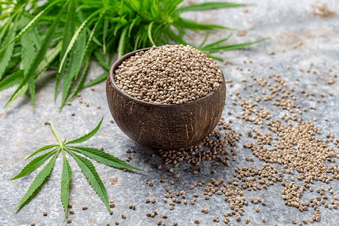 CBD Seeds
